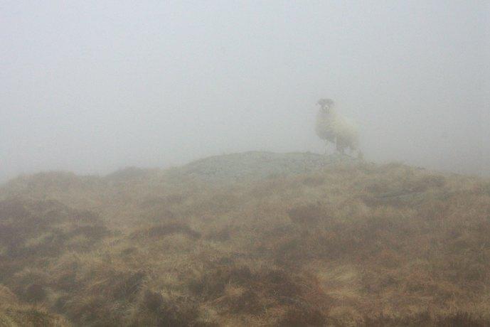 ben lomond