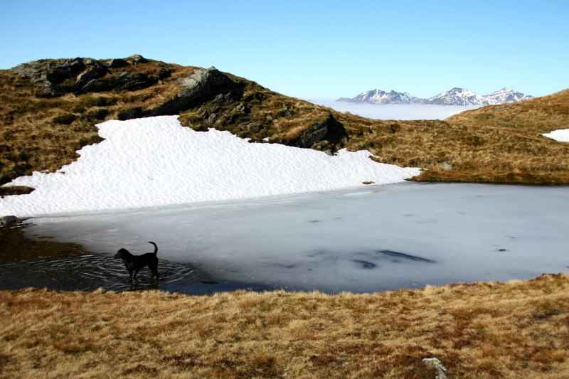 ben lomond