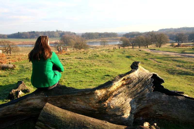 richmond park londres