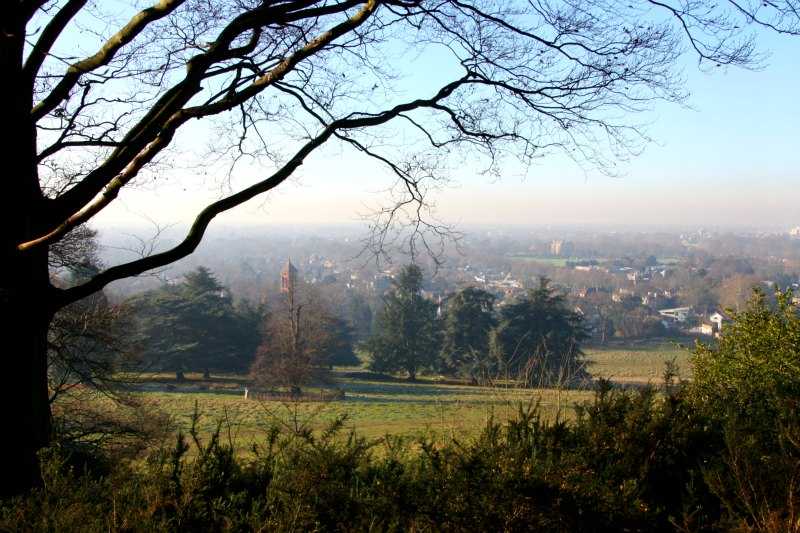 richmond park londres