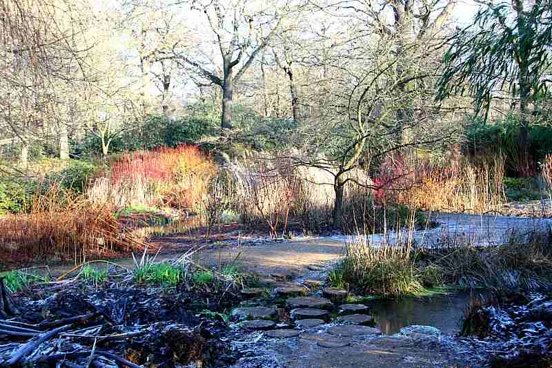 richmond park londres