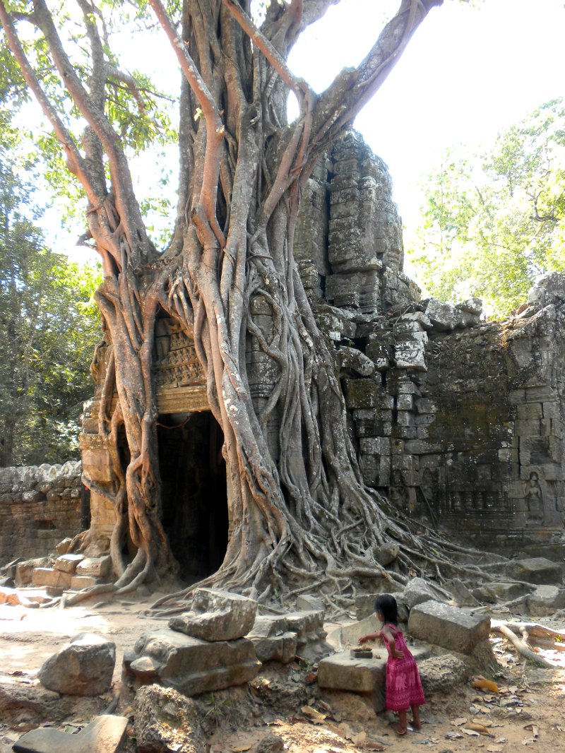 visiter les temples d'angkor