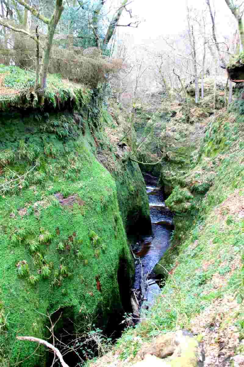 Finnich Glen en Écosse