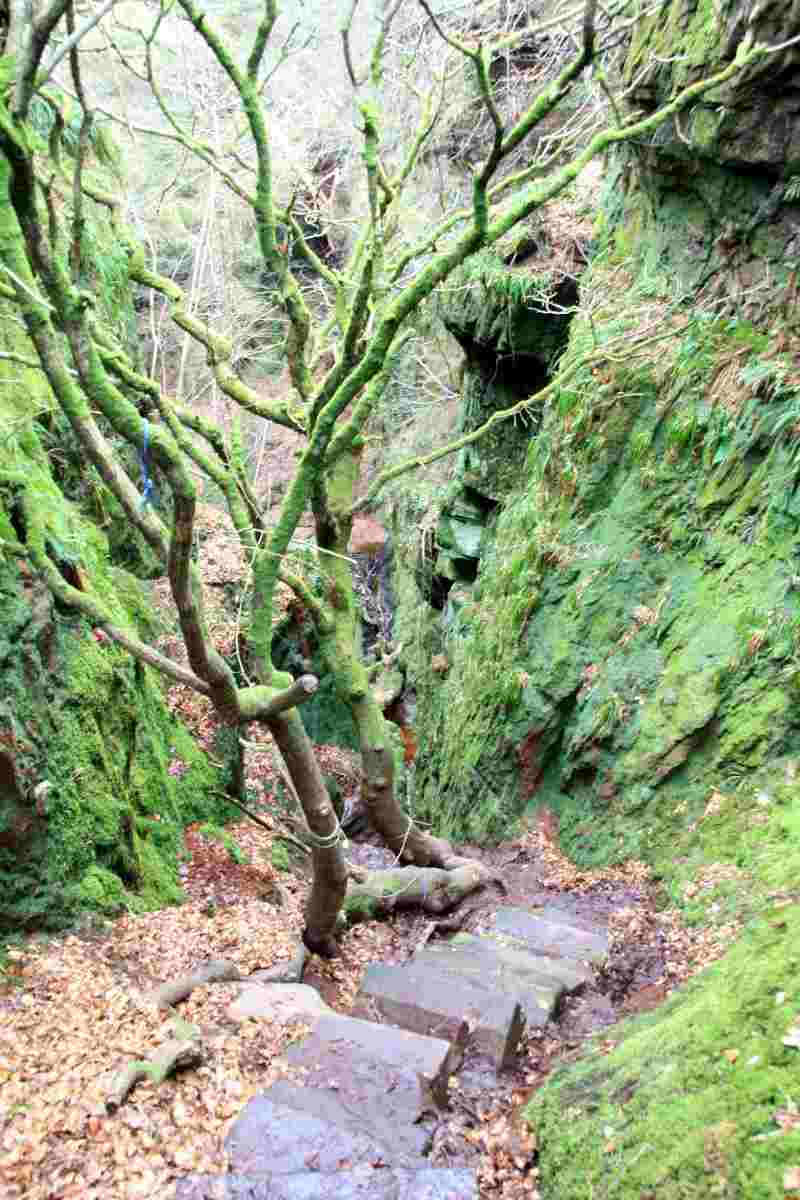 Finnich Glen en Écosse