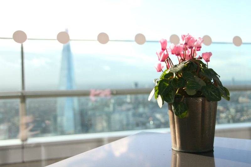 Sky Garden à Londres