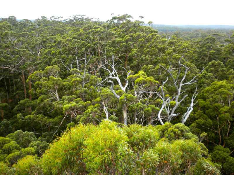 Australie occidentale