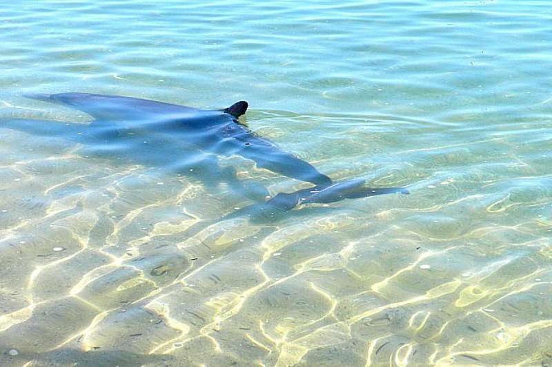 itinéraire sur la côte Ouest australienne