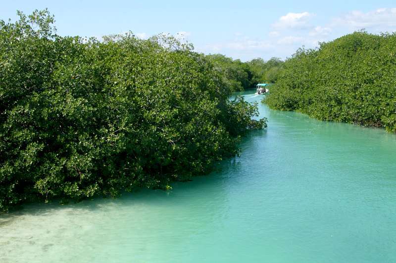 Road trip au Yucatan