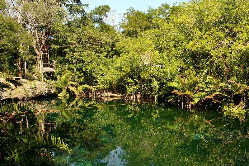 cenotes du Yucatan