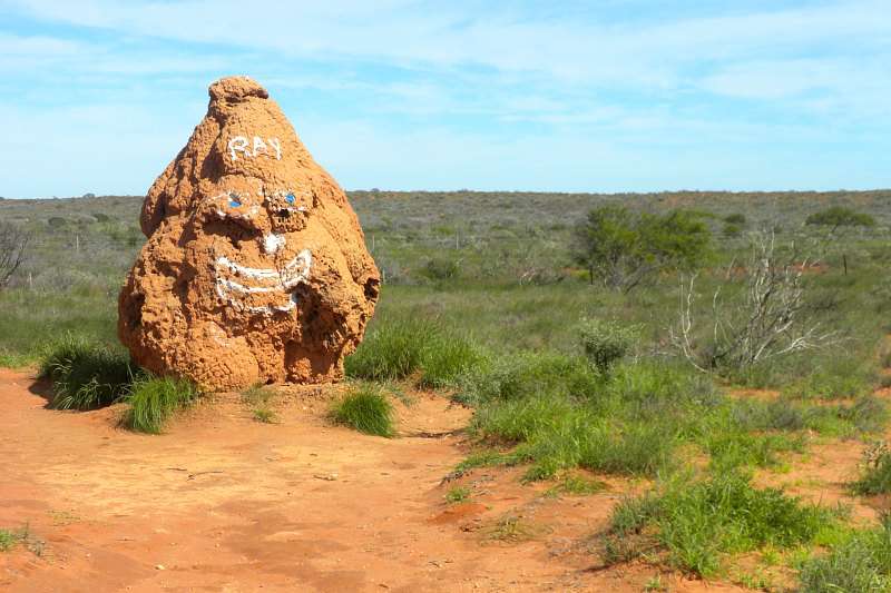 Road trip dans l'Outback en Australie