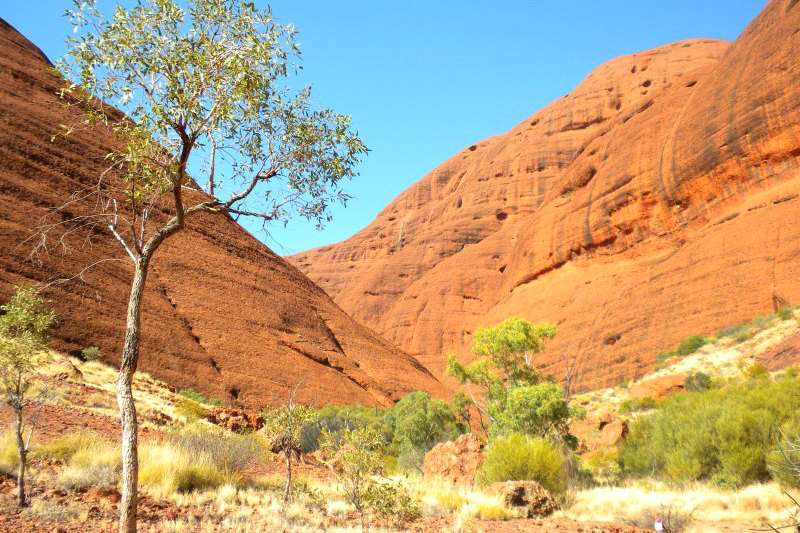 road trip dans le centre rouge en Australie