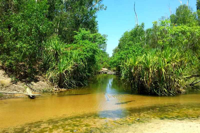 road trip dans le centre rouge en Australie