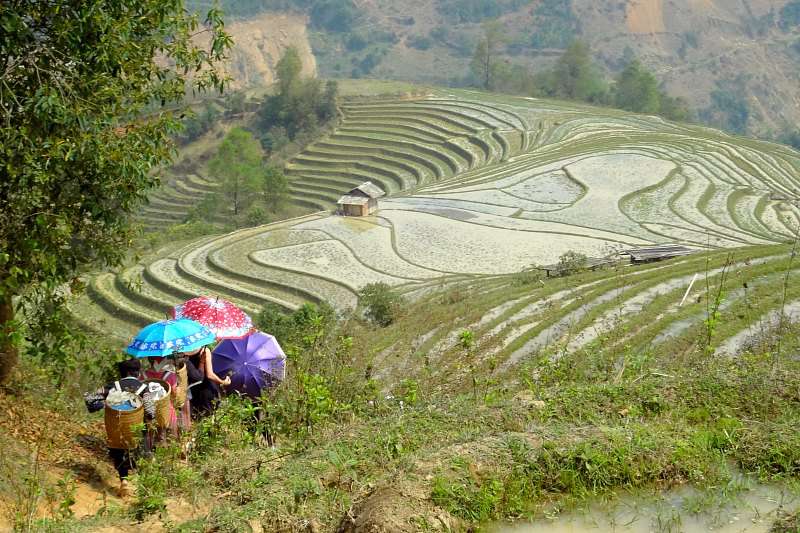 Voyager au Vietnam : Sapa