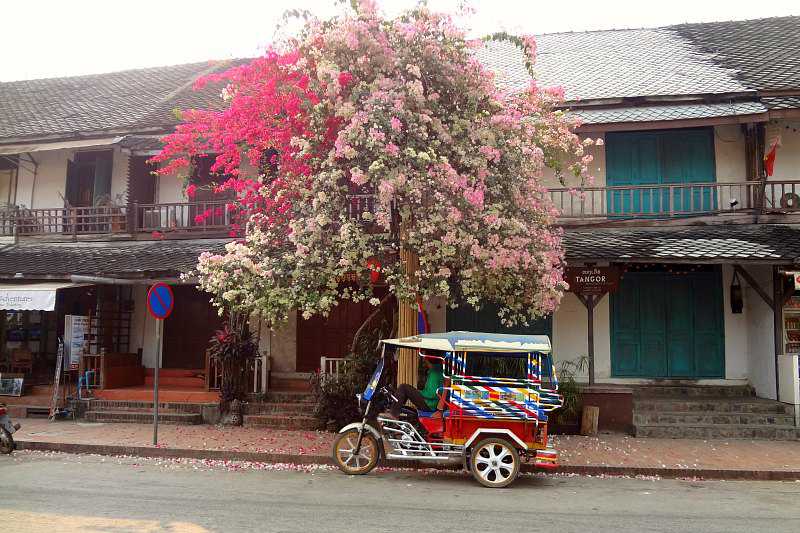 Luang Prabang au Laos : luang prabang