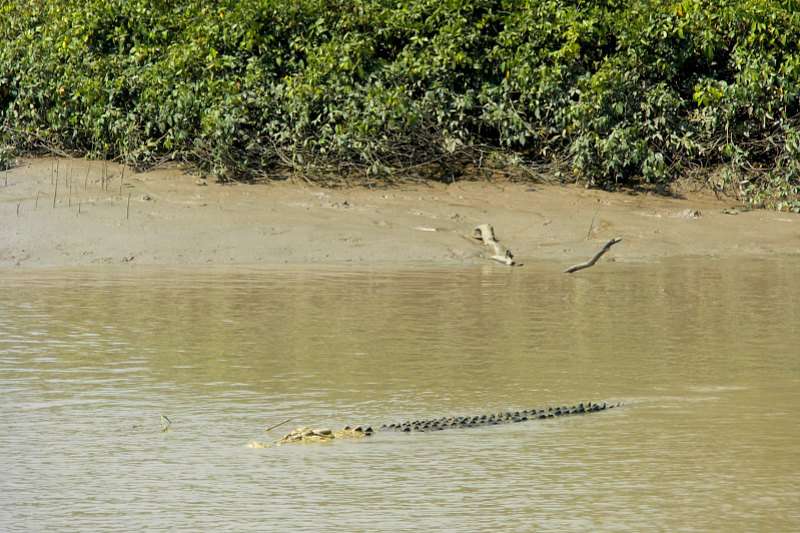 Darwin ville préférée en Australie