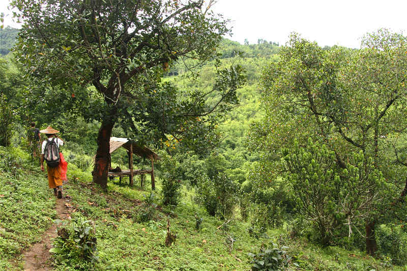 trekking à Hsipaw en Birmanie