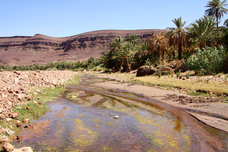 Road trip au Maroc : oasis de Fint