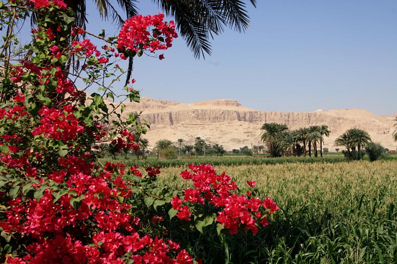 Visiter Louxor en Égypte : vallée des rois