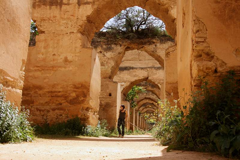 Visiter Meknès - les écuries