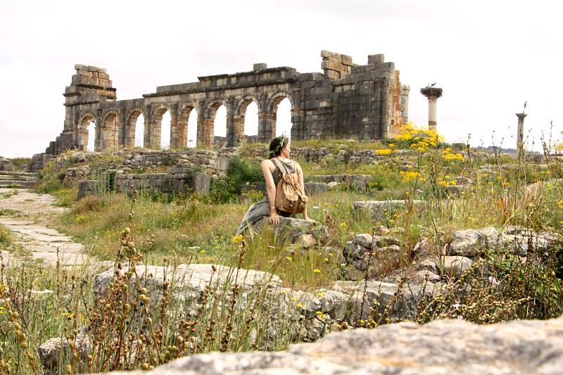 Visiter Meknès - Volubilis