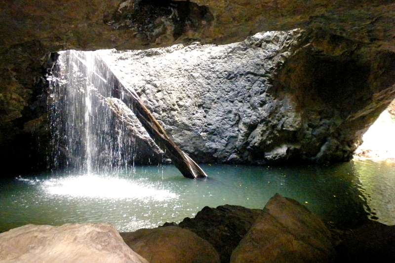 road trip sur la côte Est en Australie : springbrook national park