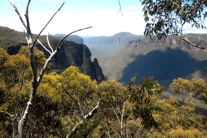 road trip sur la côte Est en Australie : blue mountains