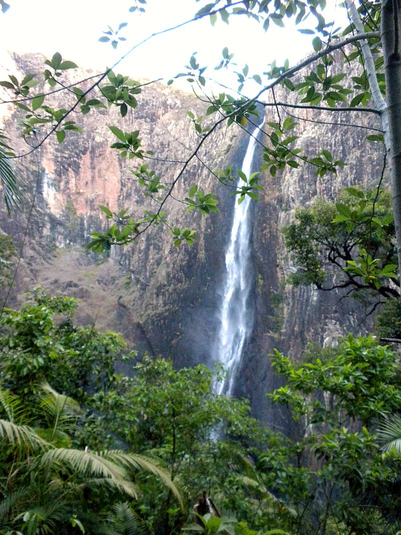 road trip sur la côte Est en Australie : wallaman falls