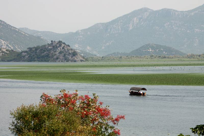 road trip au Monténégro : lac Skadar