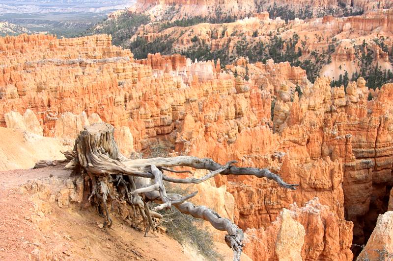 road trip aux États-Unis d'un mois : Bryce National Park