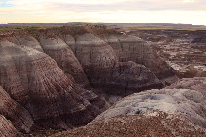 road trip aux États-Unis d'un mois : Petrified Forest